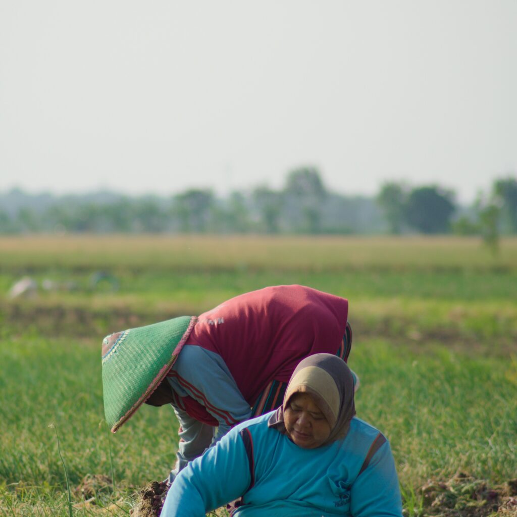 Farmers’ Day: Why the People Who Feed Us Matter Most Women farmers harvesting crops in an agricultural field